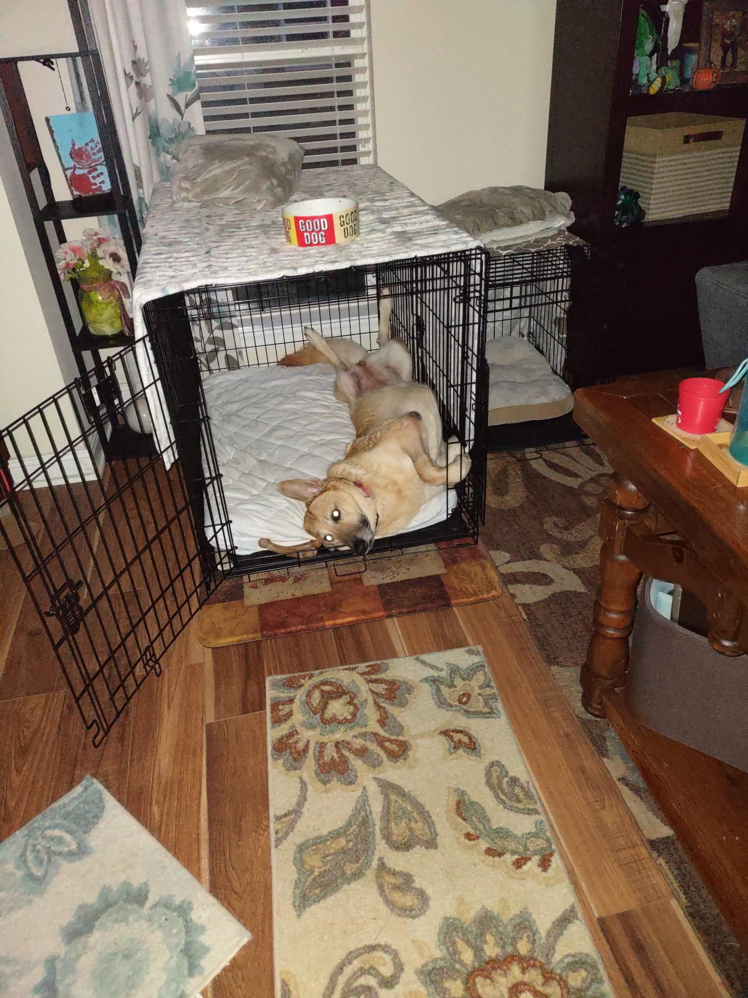 Molly — thumbnail 5