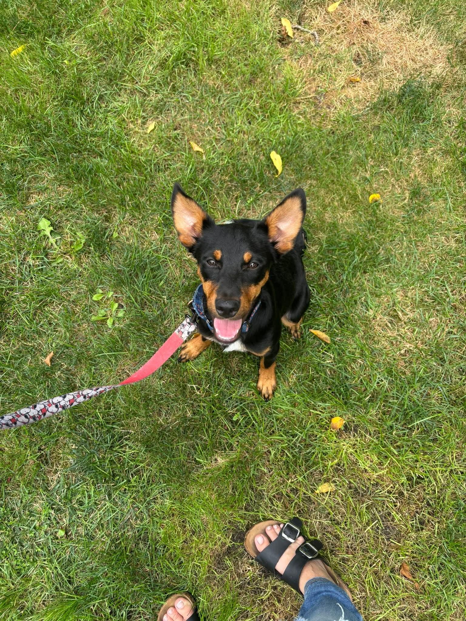 Rocky