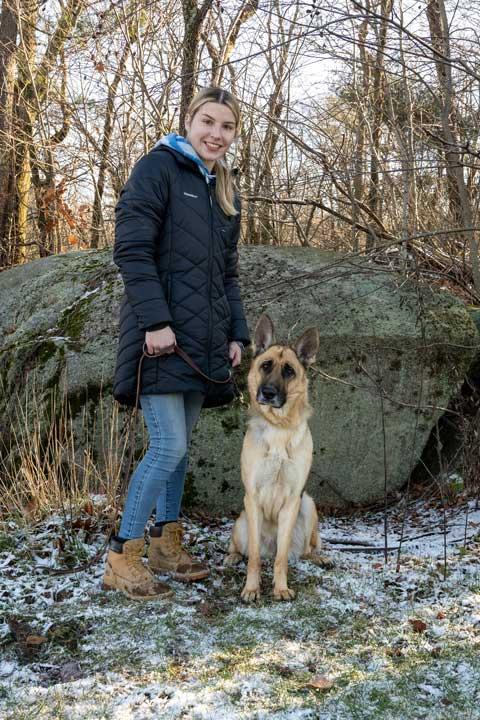 Valentine, a ADOPTABLE German Shepherd Dog in Wayland, MA image 6/6