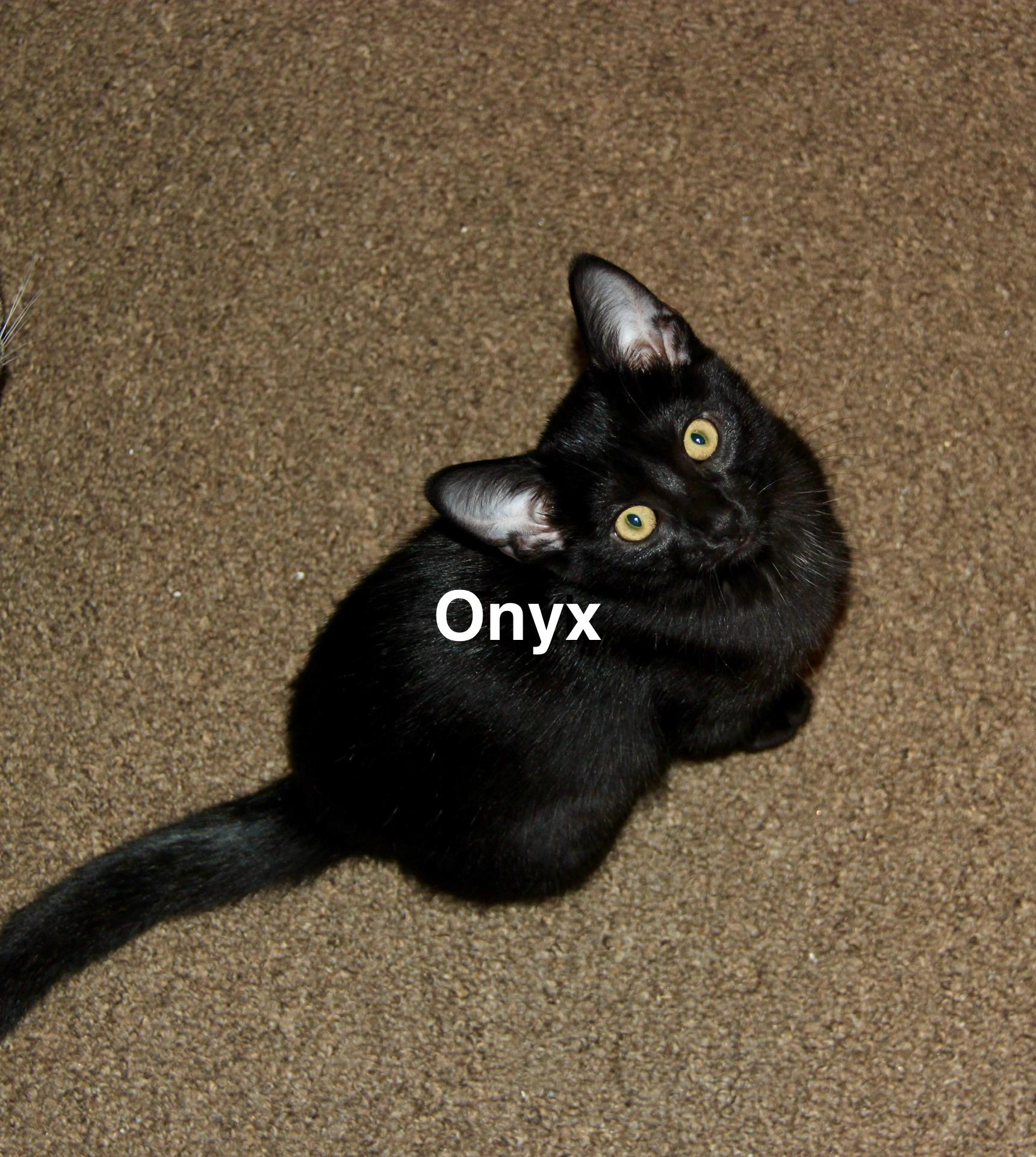 Onyx
