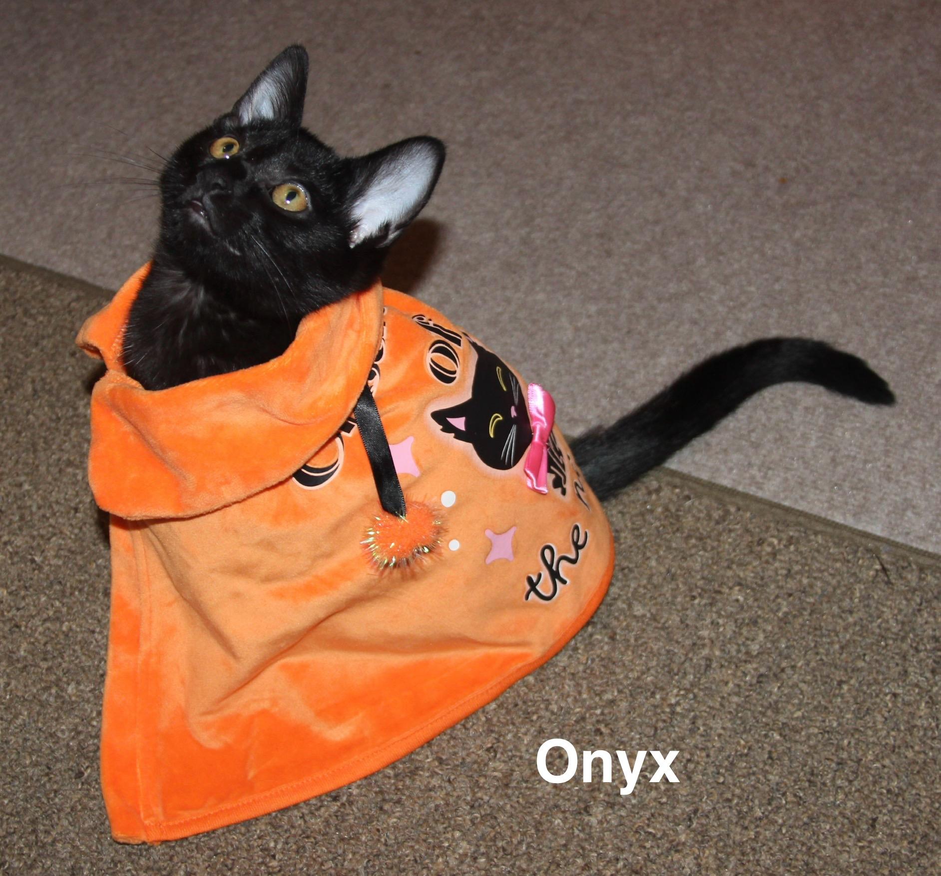 Onyx