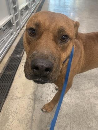 Roger — thumbnail 2