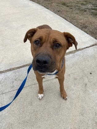 Roger — thumbnail 5