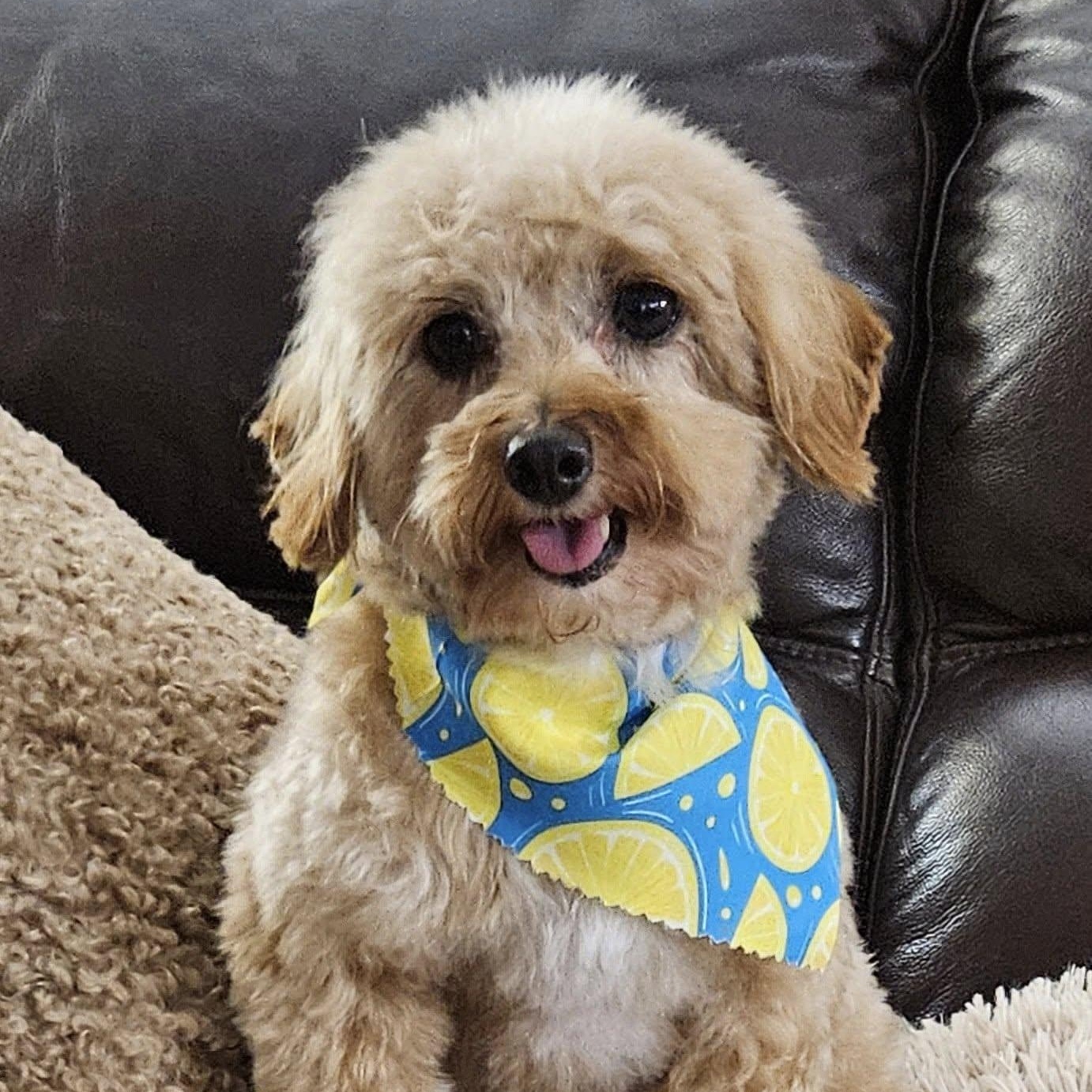 Cooper