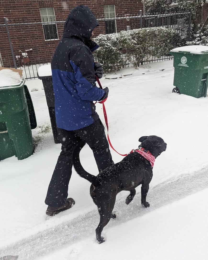 Enlarge Buddy, a Adoptable mixed breed in Cypress, TX image 4/6