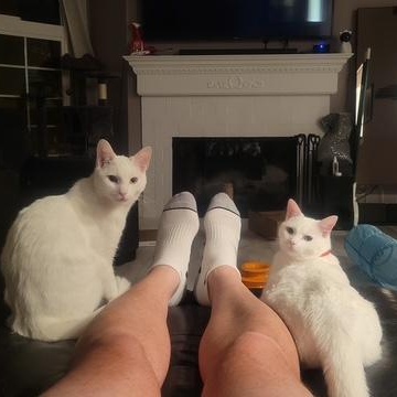 Jett and Fluff photo 5