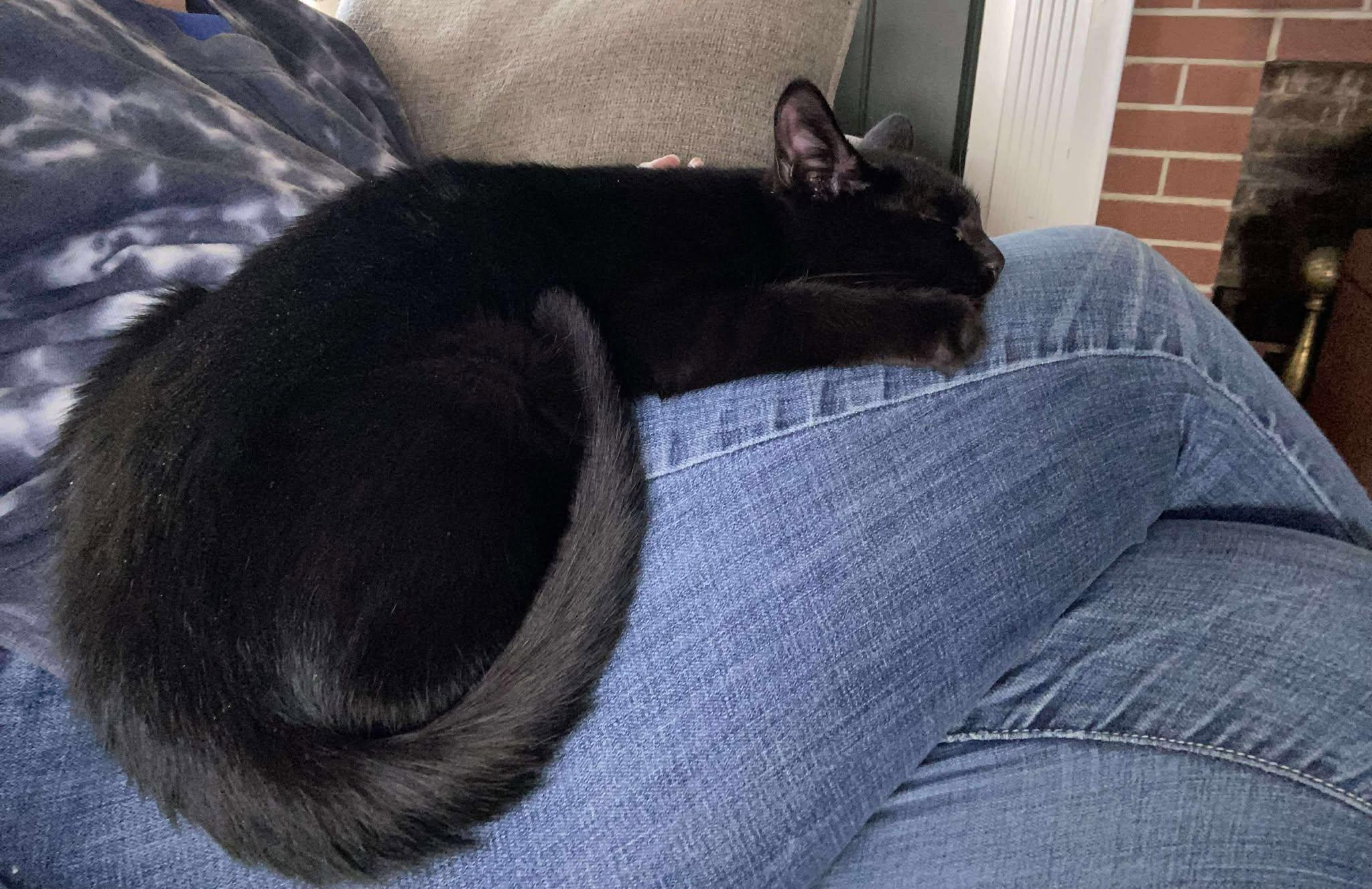 Stevie Nicks thumbnail 3