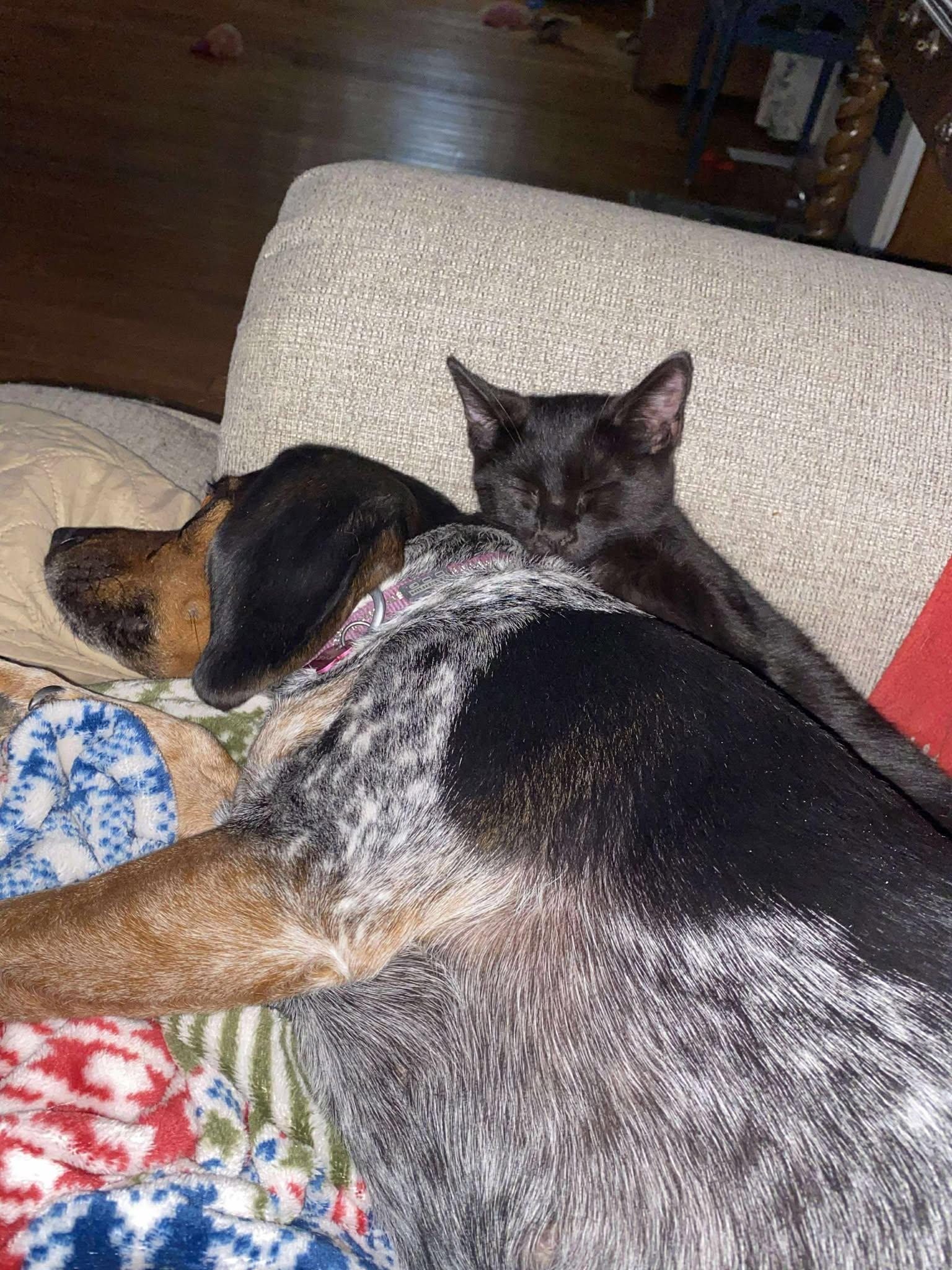 Stevie Nicks thumbnail 7