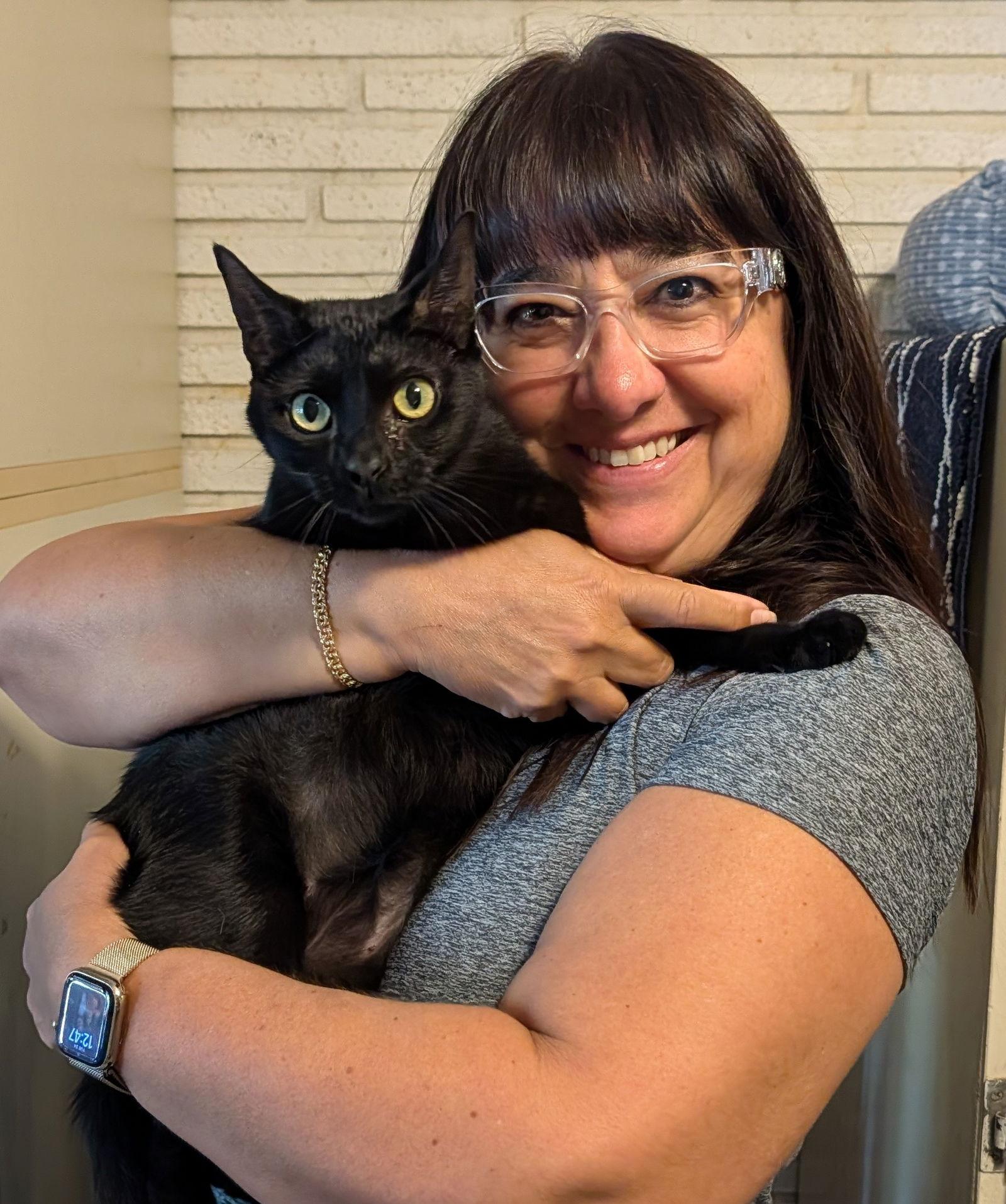 Paloma, Adopted, Adult Female Domestic Short Hair.