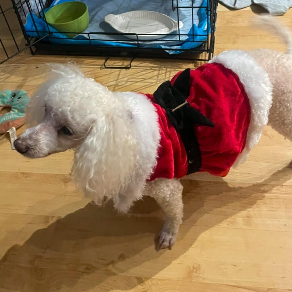 Lilith — thumbnail 4