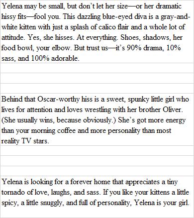 Yelena, an adoptable Tortoiseshell, Siamese in Libby, MT, 59923 | Photo Image 4