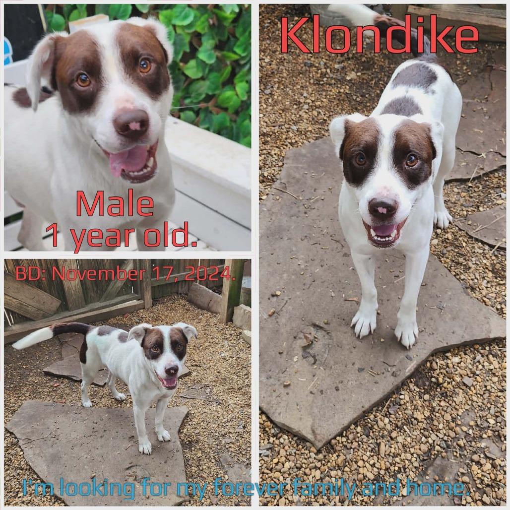 Klondike — thumbnail 3