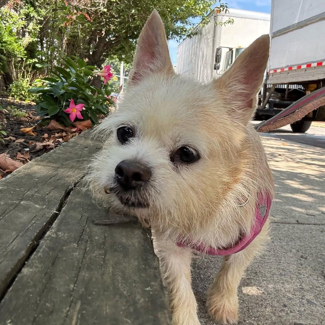 Lucy