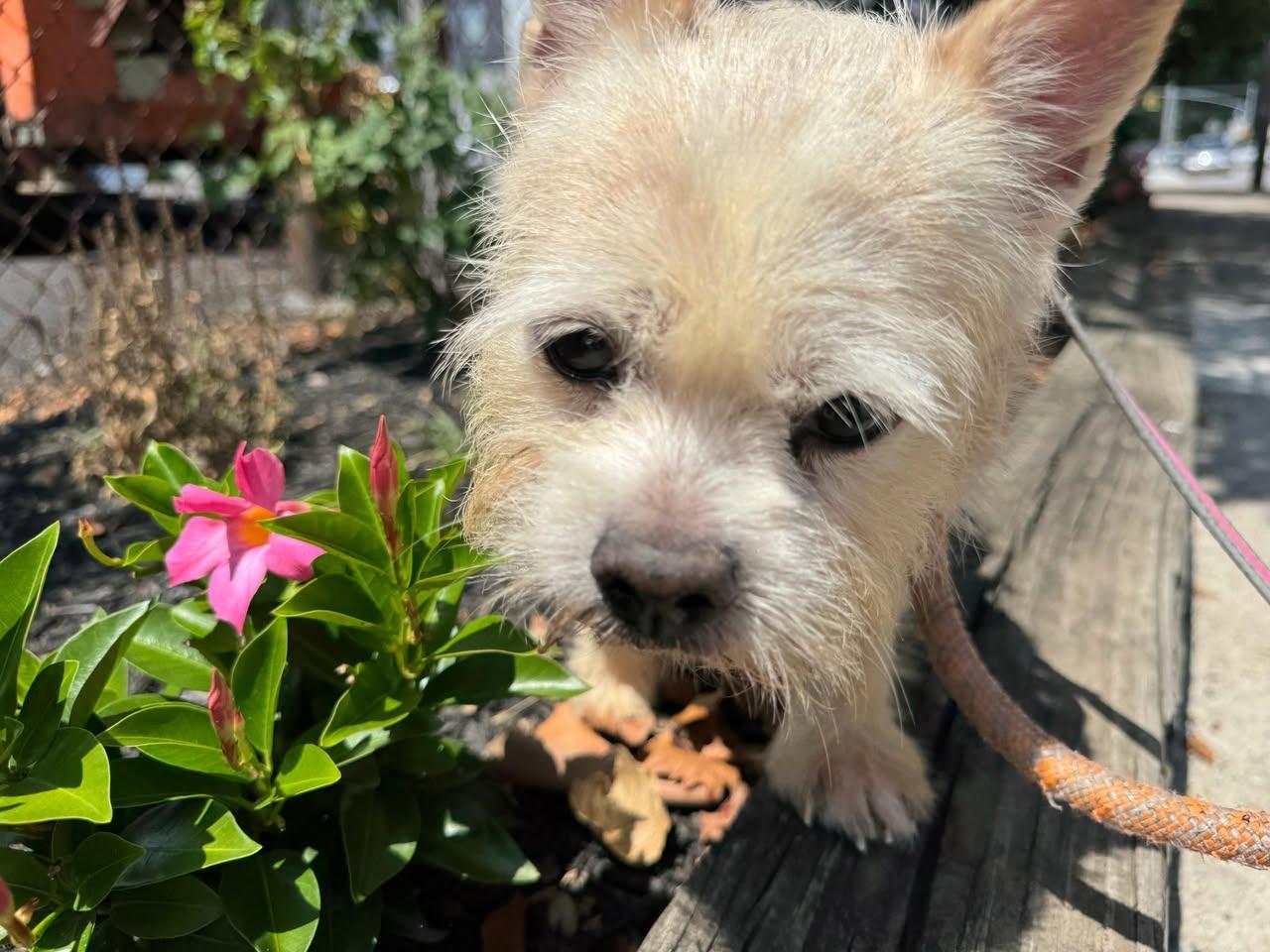 Lucy