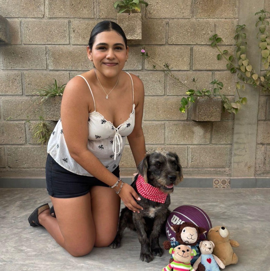 Enlarge Juan Machete, an adopted mixed breed in Calgary, AB image 4/5