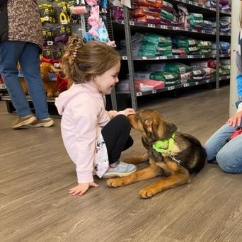Enlarge Roo, a ADOPTABLE mixed breed in CHURCHVILLE, NY image 4/6