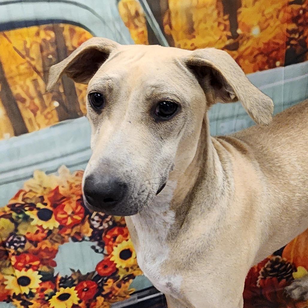 Dani FJ — thumbnail 5