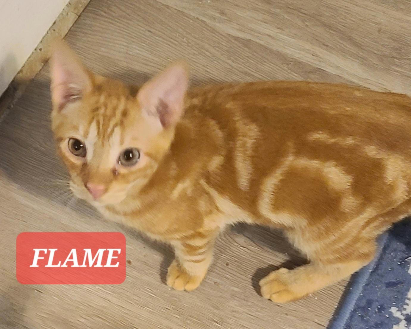 Flame thumbnail 3