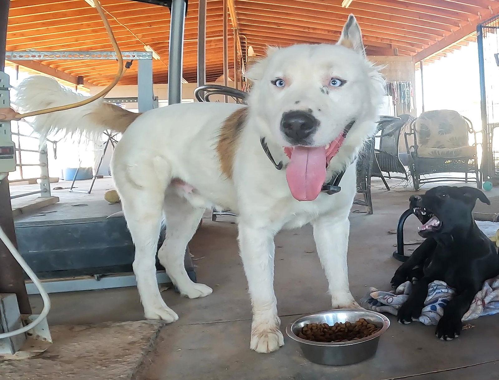 Kung Pao thumbnail 2