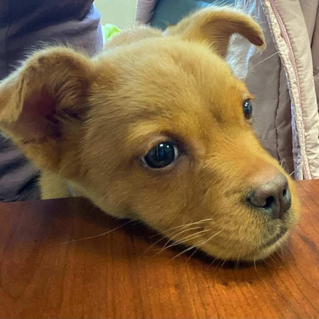 Milicent thumbnail 2