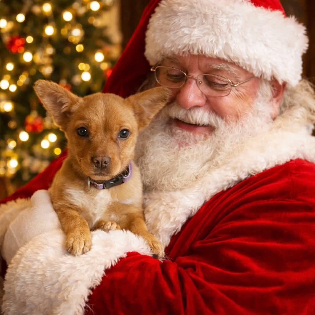 Milicent thumbnail 6