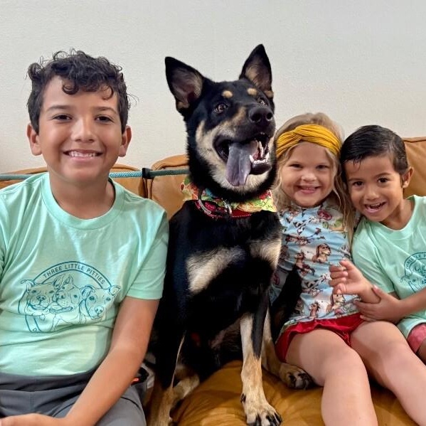 Rocky a ball-loving good time — thumbnail 5