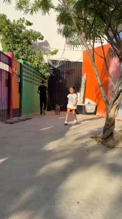 Enlarge Ron, an adopted mixed breed in New York, NY video 5/6