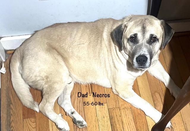 Skyy Spirits thumbnail 5