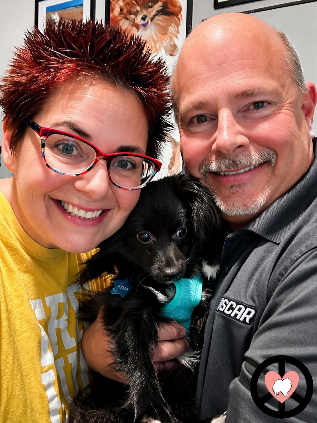 Enlarge Kiwi, a Adopted mixed breed in Lebanon, PA image 2/3