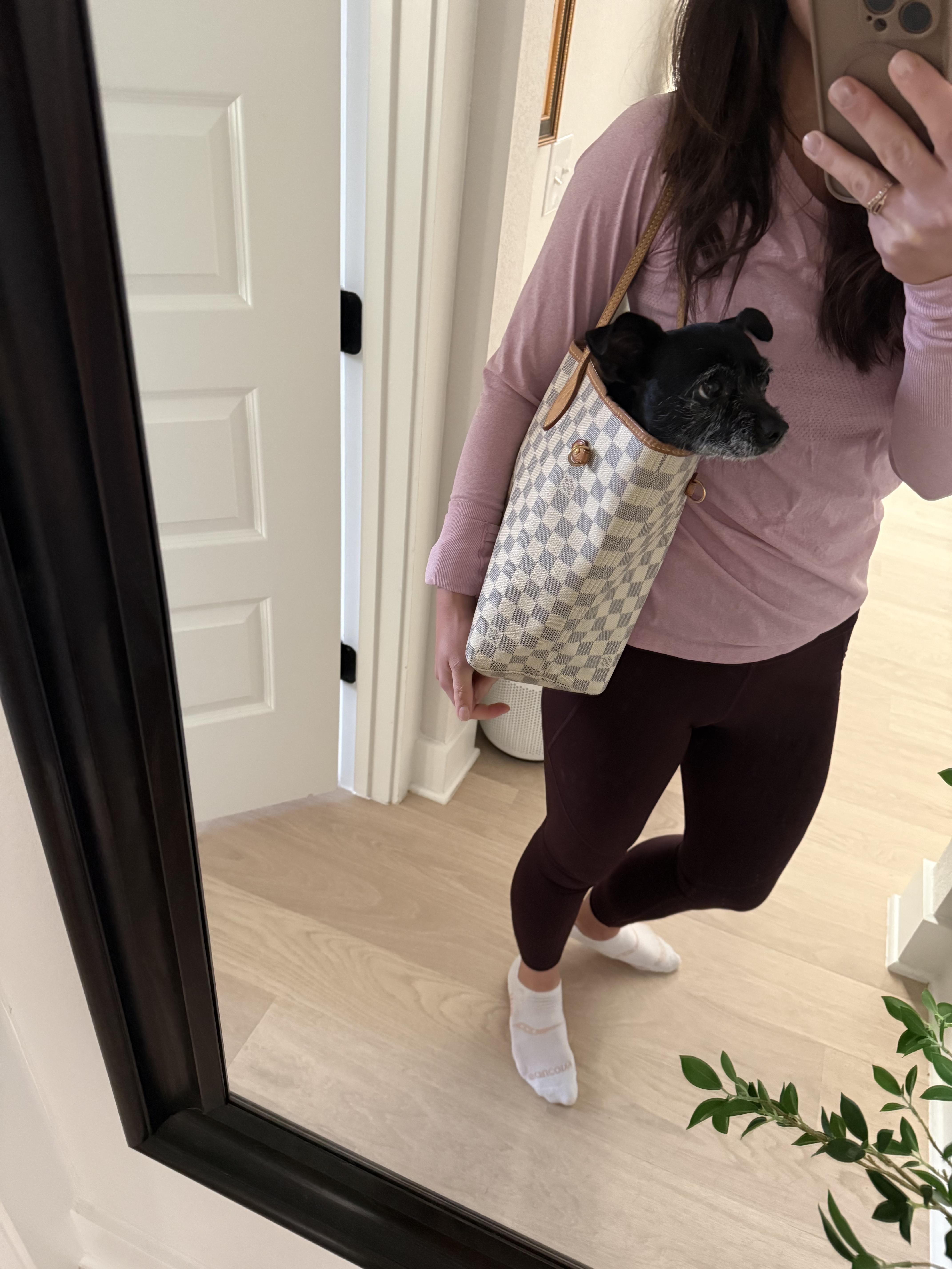 Enlarge Pippa (the dog with eyebrows you've been waiting for), an adoptable mixed breed in Austin, TX image 6/6