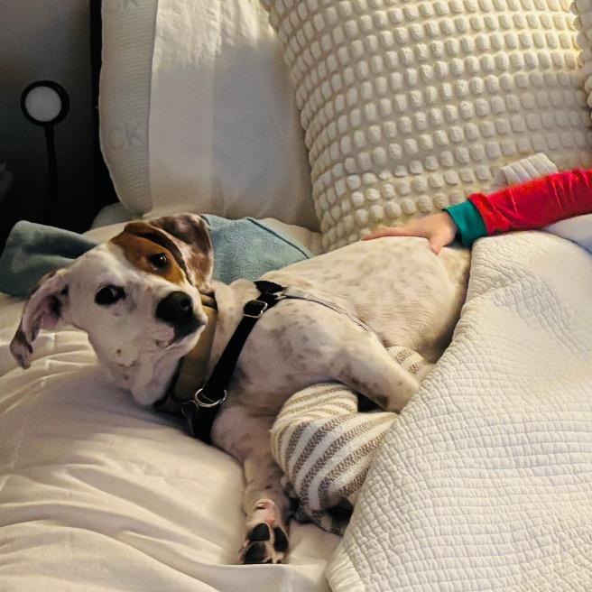 Lucy Loo thumbnail 3