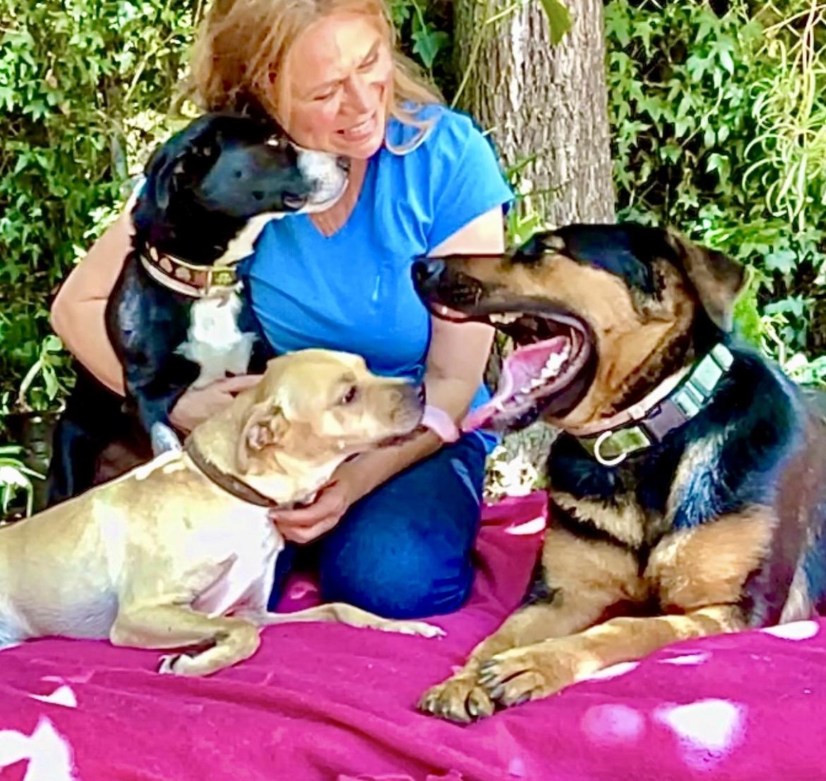 Enlarge Mac - Aroni Video, a Adoptable mixed breed in Pasadena, CA image 5/6