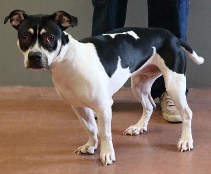 Oakley — thumbnail 2