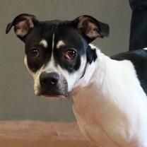 Oakley — thumbnail 4