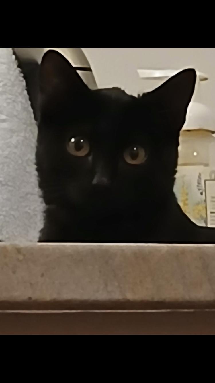 Ethel