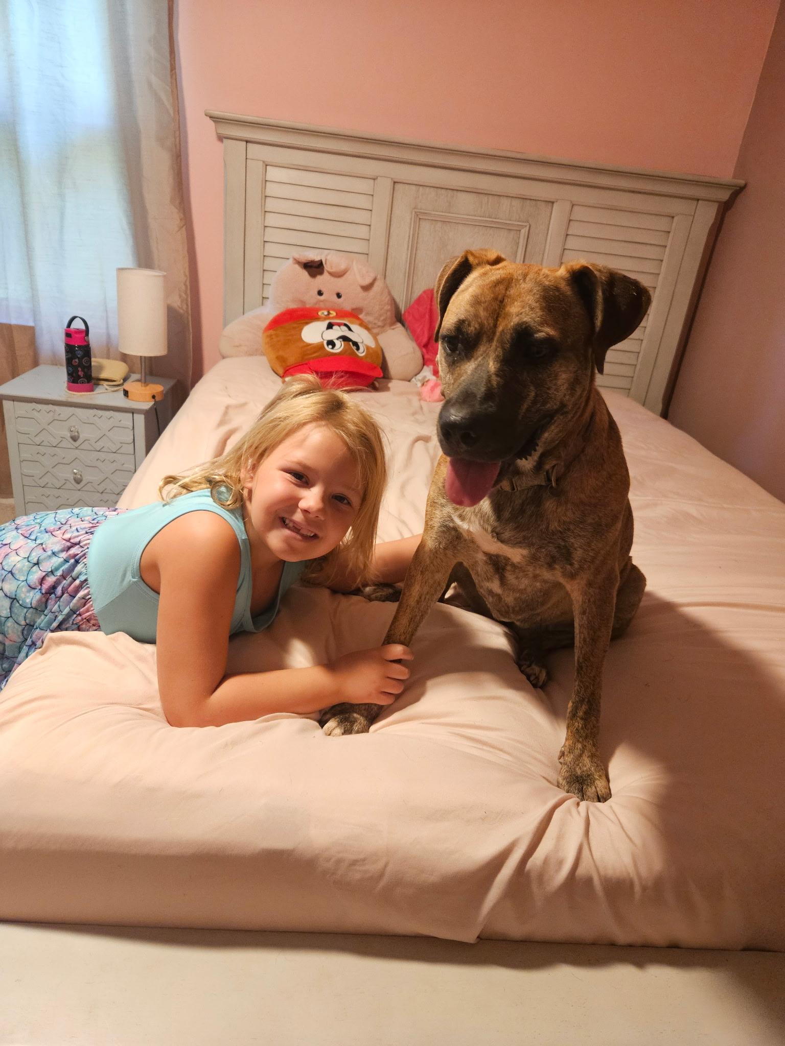 Enlarge Lady, a Adoptable mixed breed in Marietta, GA image 3/6