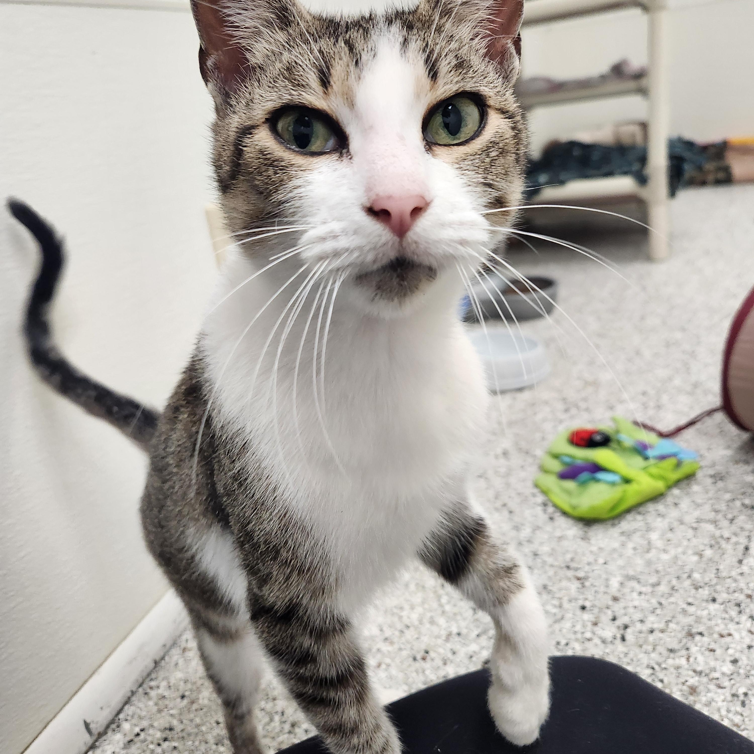 Florence thumbnail 2