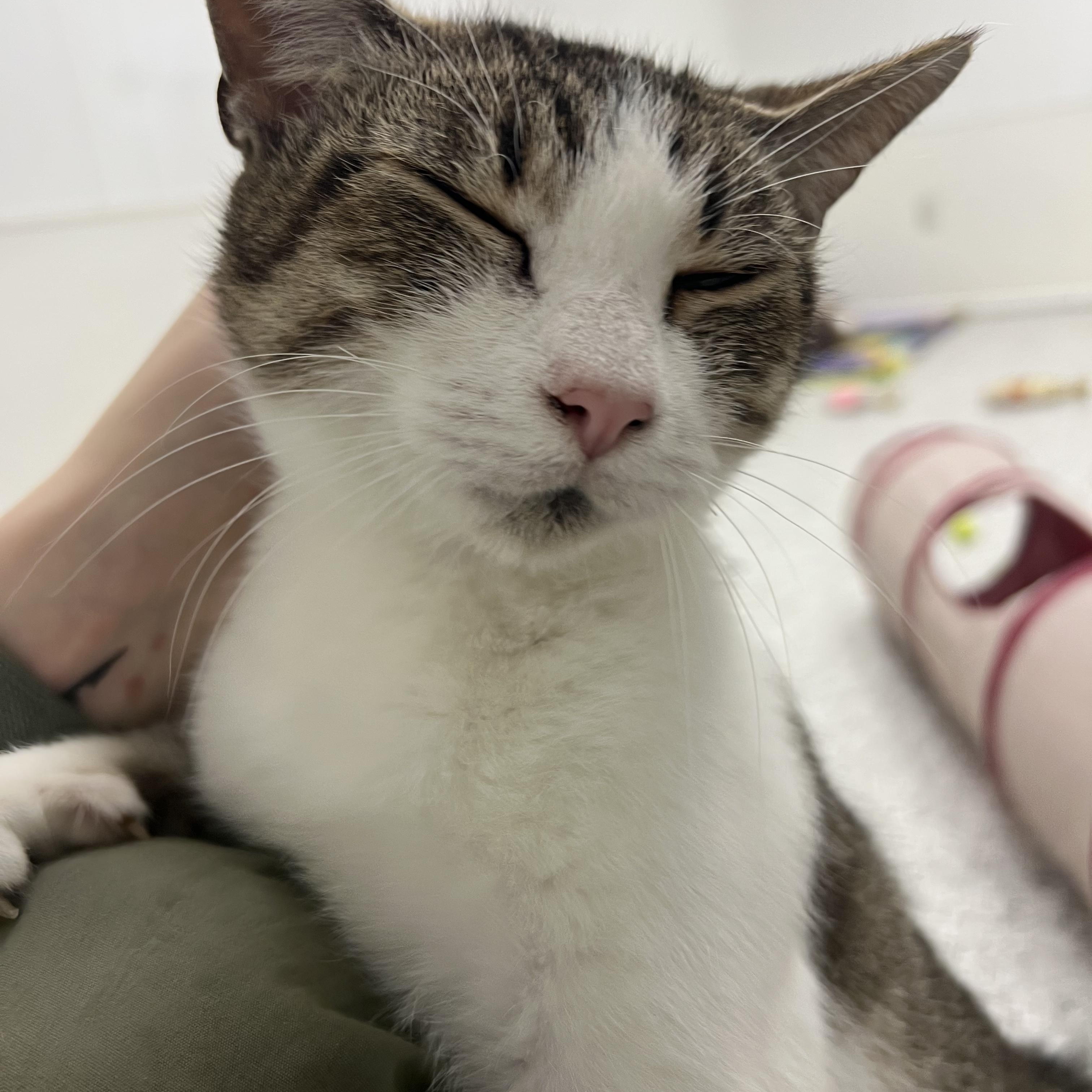 Florence thumbnail 3