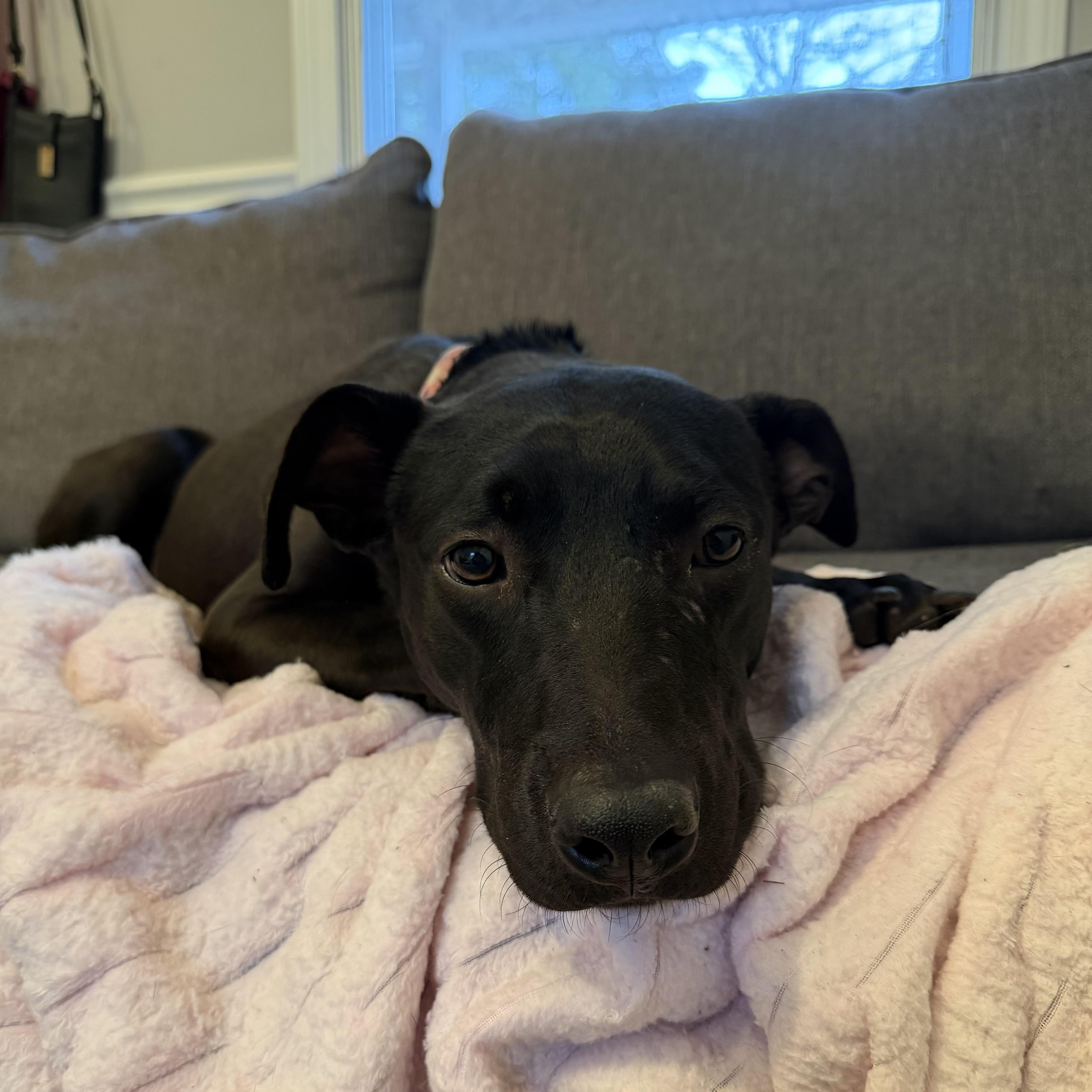 Five Points — thumbnail 3