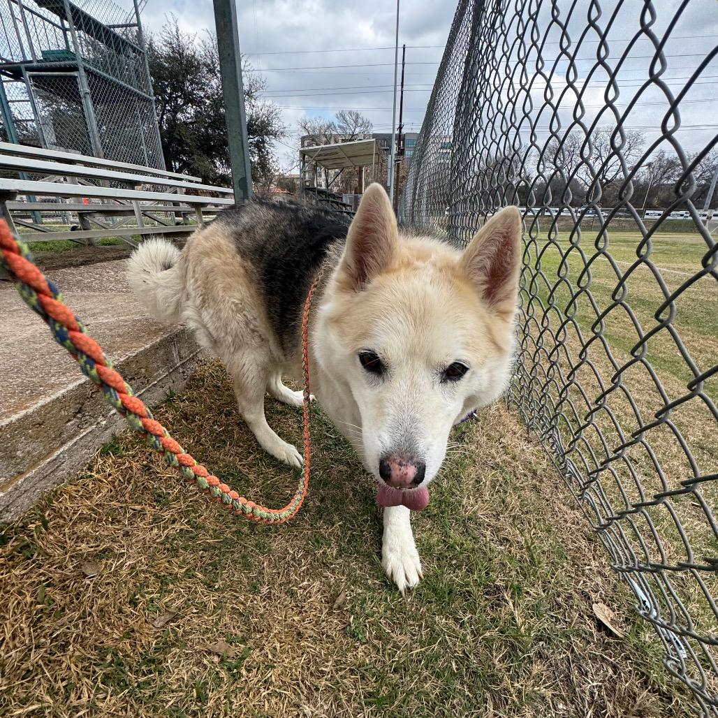 Stormy Weather — thumbnail 3