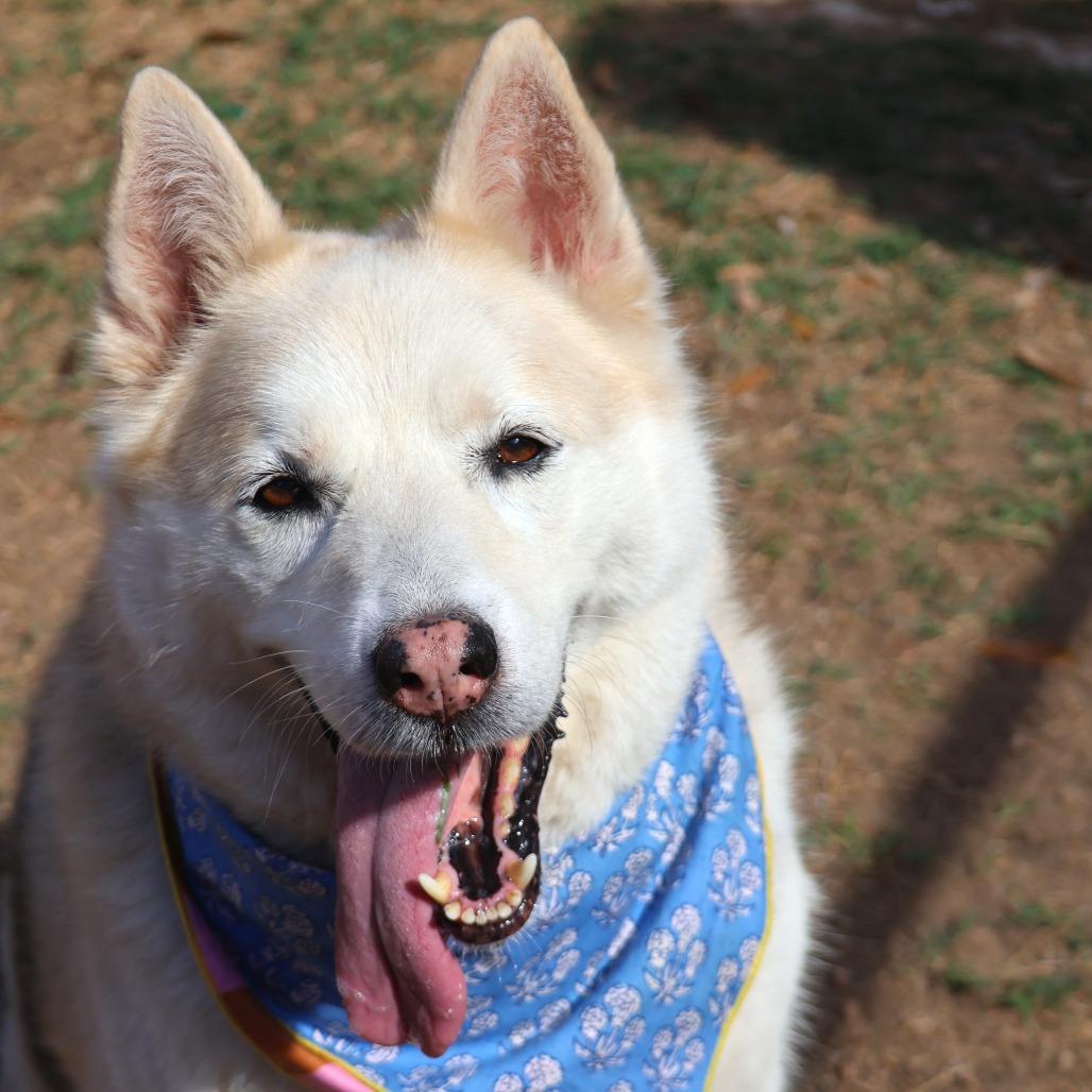 Stormy Weather — thumbnail 4