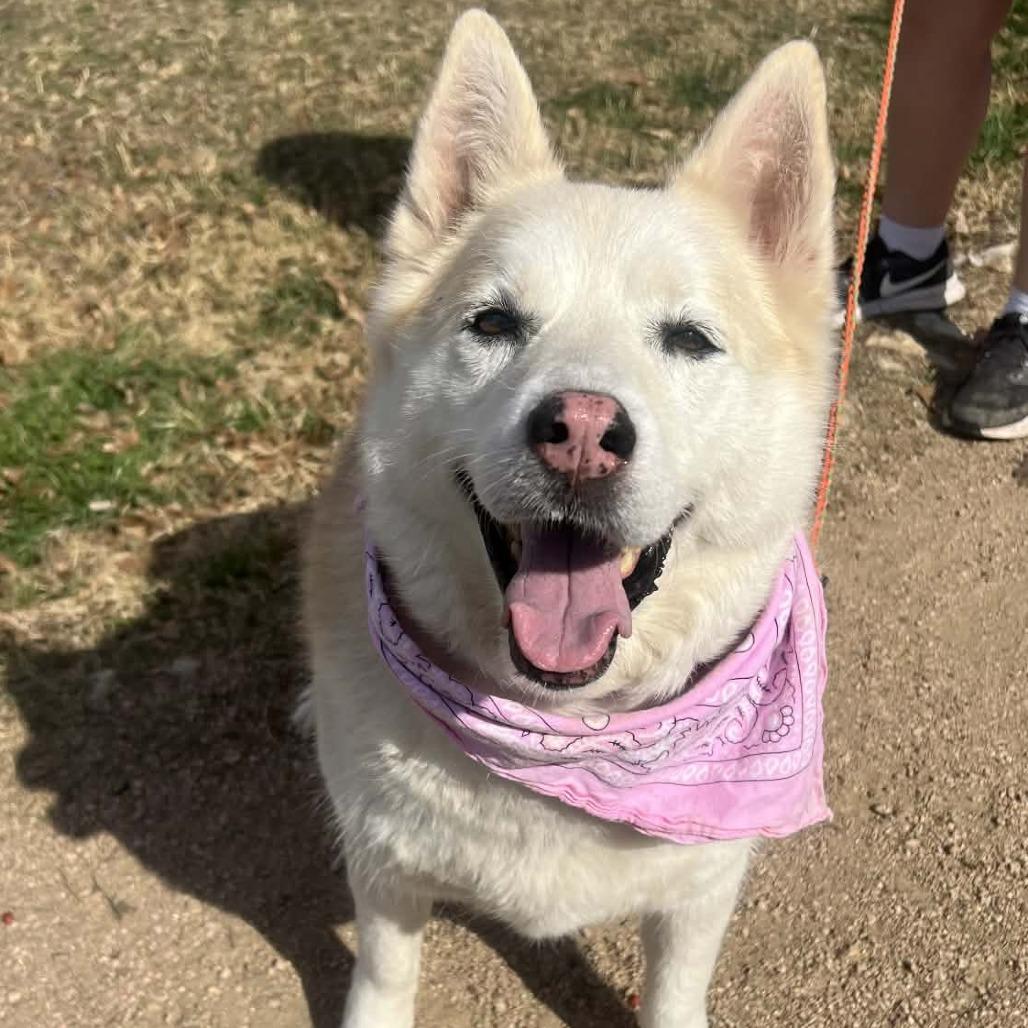 Stormy Weather — thumbnail 5