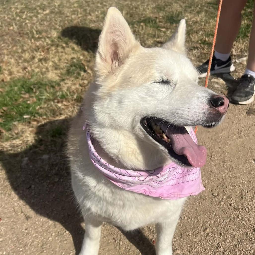 Stormy Weather — thumbnail 6