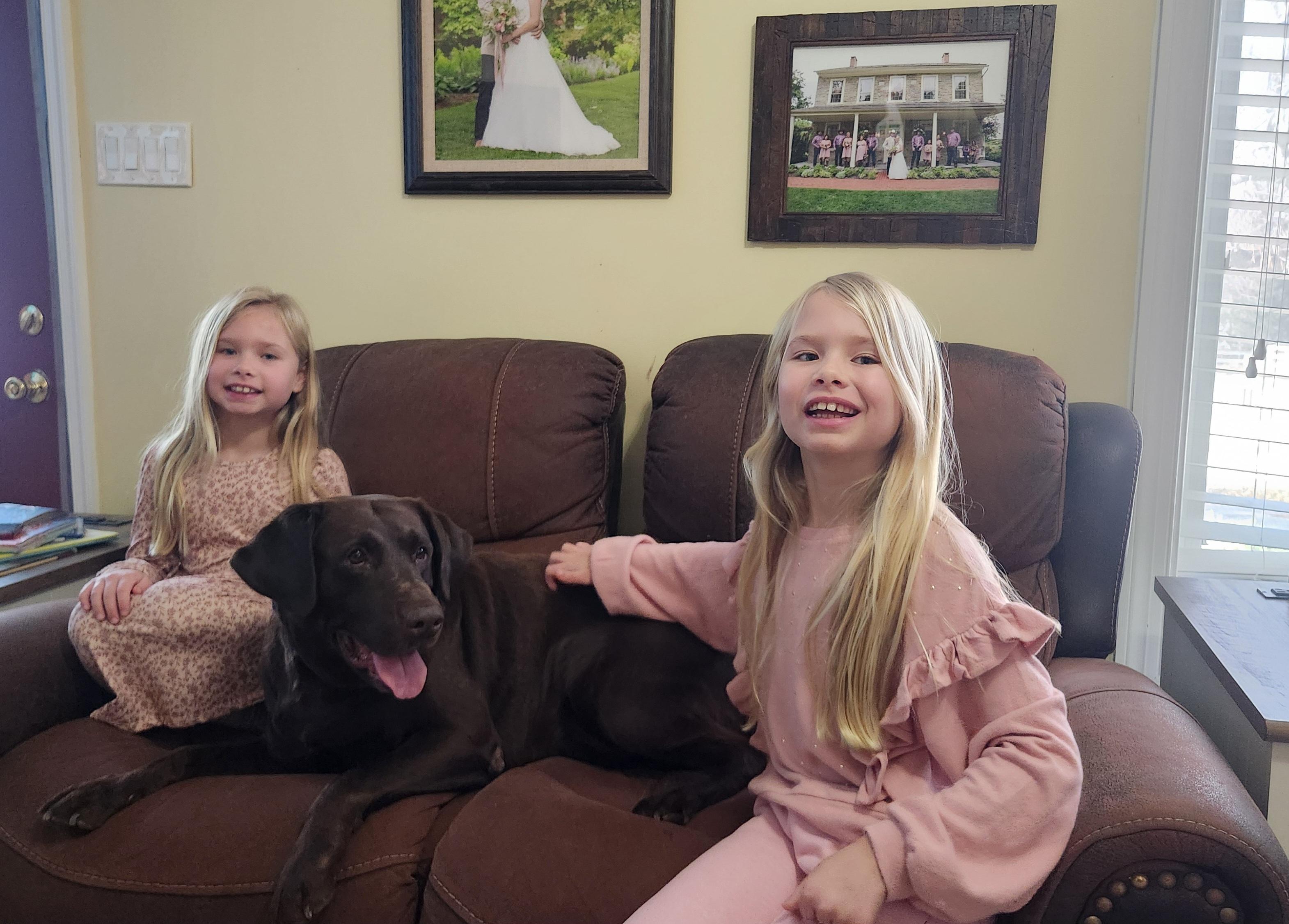 Lars Tag 3504, an adopted Chocolate Labrador Retriever in Warrington, PA image 3/4