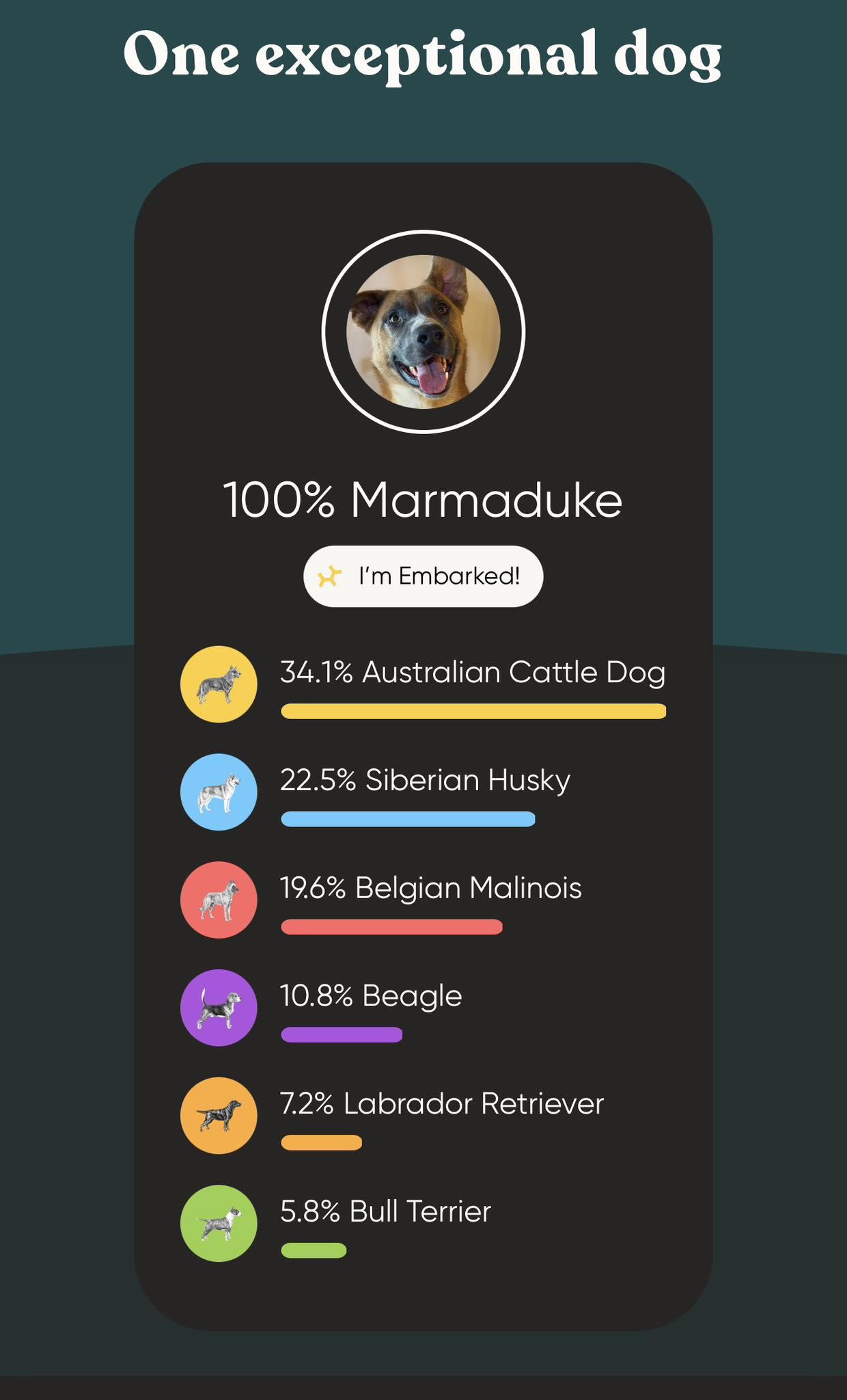 Enlarge Duke, a ADOPTABLE mixed breed in Waverly, IA image 2/6