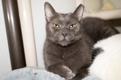 Rubiks — thumbnail 3