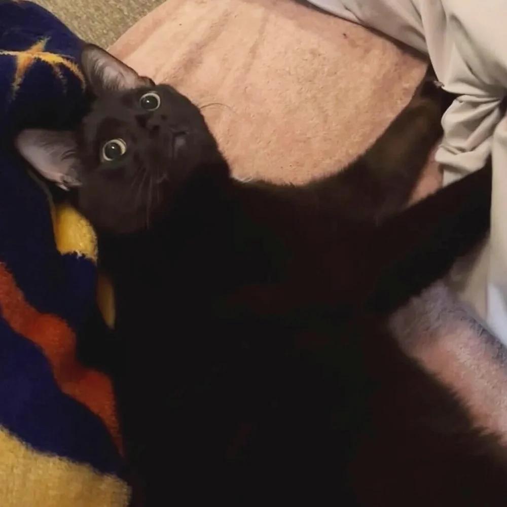 Hero — thumbnail 2