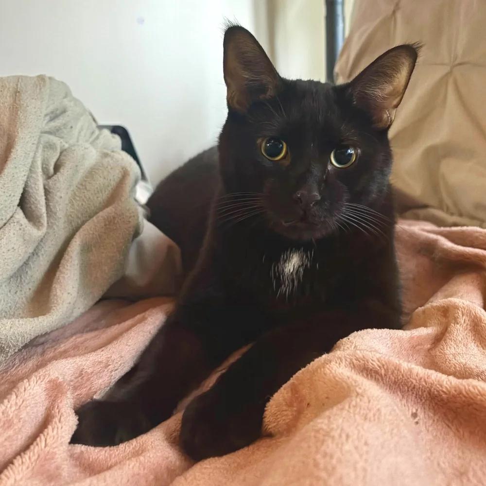 Hero — thumbnail 3