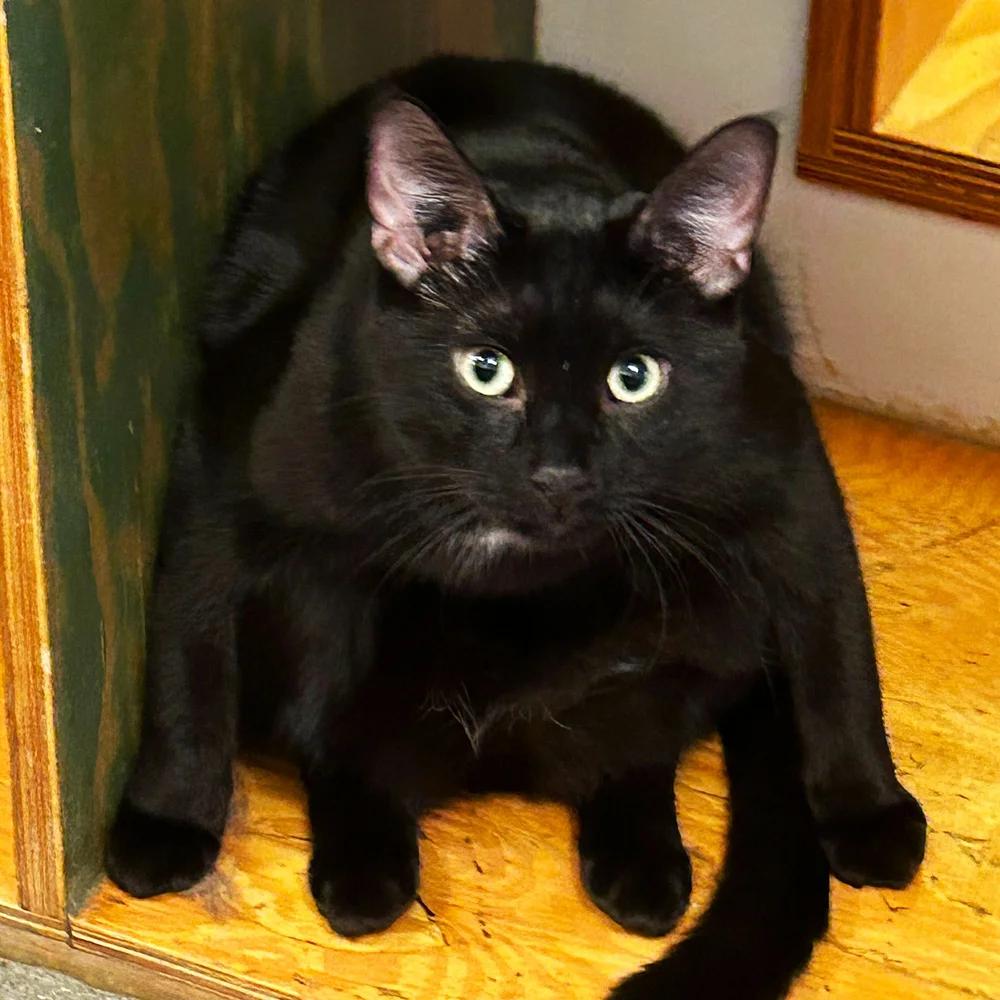 Hero — thumbnail 4