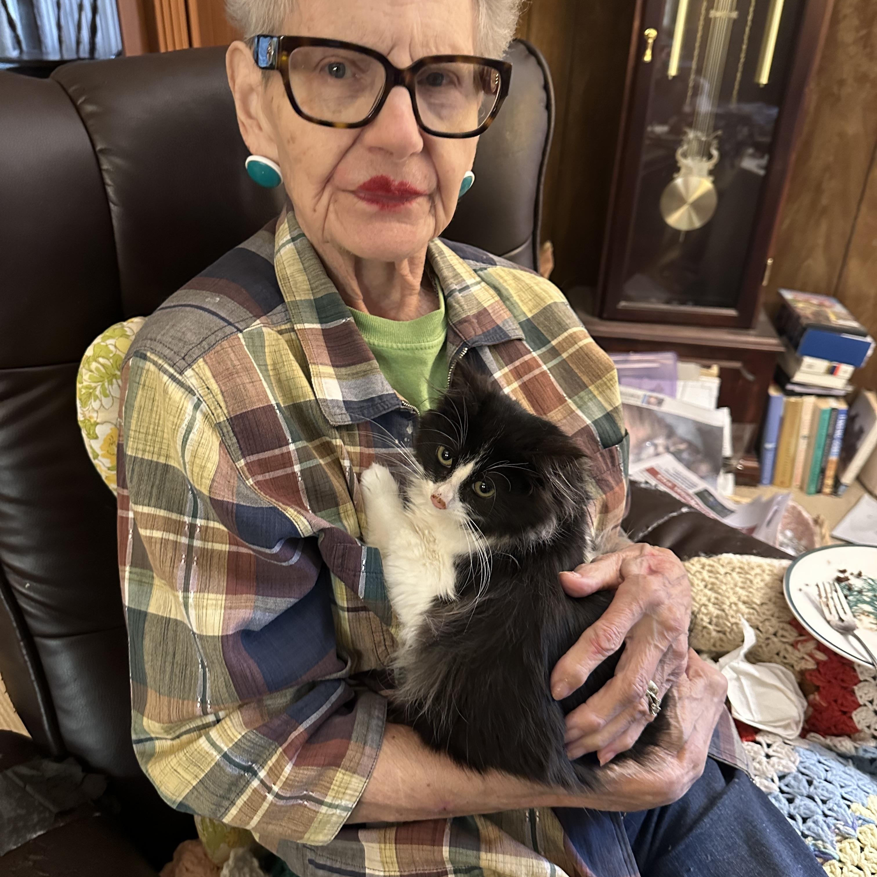 Enlarge E. B. - Loves to snuggle, an adopted mixed breed in Everett, WA image 4/4